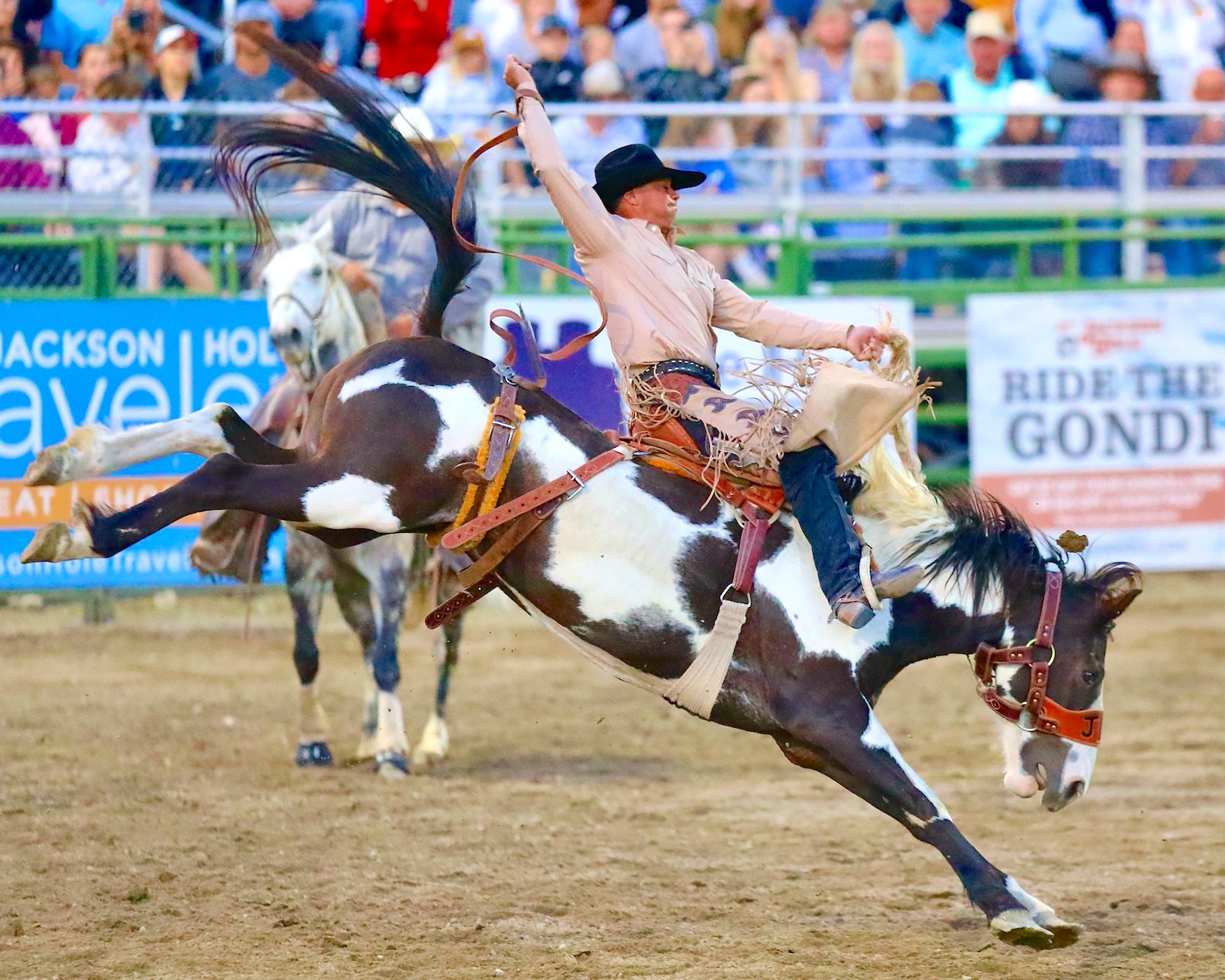 JH Rodeo results for early June - JacksonHolePress