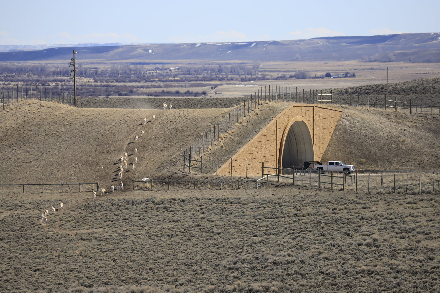 Wyoming Leads The Way In Wildlife Crossings - JacksonHolePress